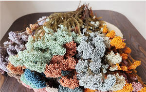 Rames de fleurs de cerisier séchées naturelles et préservées pour l'aromathérapie, <span class=keywords><strong>la</strong></span> photographie, les mariages, <span class=keywords><strong>la</strong></span> décoration de <span class=keywords><strong>la</strong></span> maison et du bureau - Product Image 3