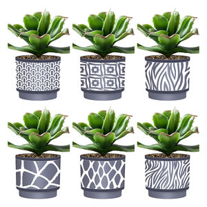 YICAI-miniplantas artificiales de Aloe, bonsái, plantas pequeñas, flores falsas, <span class=keywords><strong>mesa</strong></span> de oficina, adornos en maceta, jardín y casa - Product Image 3