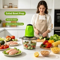 Hachoir Électrique Transparent Mini pour Viande, Mixeur de Cuisine pour Broyer Légumes, Fruits et Viande