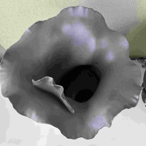 Juego de Jarrones de Cerámica Negros Tropicales para Flores, Jarrón Grande de Forma Irregular Inspirado en el Diseño Tropical para Decoración del Hogar - Product Image 5