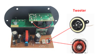 Carte d'amplificateur de puissance SF10 AC/DC pour audio 12/24V 110/220V Sortie double microphone 4 Ohms 6-10 pouces Haut-parleurs de voiture Subwoofer