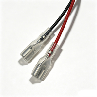 Kabel Harness Fuse Holder 2 Pin Custom UL1007 18AWG dengan Konektor JST Male, Terminal Spade Piggyback, dan Perakitan Kabel Daya Otomatis