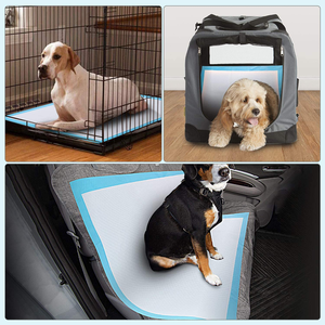Almohadillas Desechables para Perros con Control de Olores, para Entrenamiento de Cachorros, Ecológicas, Antideslizantes, de Alta Absorbencia, Precio Directo de Fábrica, <span class=keywords><strong>Compra</strong></span> al por Mayor - Product Image 6