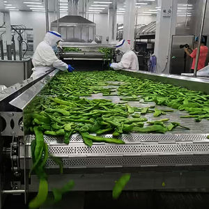 Frijoles congelados IQF con aceite vegetal de excelente calidad |   Precio Competitivo |    Alto Valor Nutricional para Suministro a Granel y Exportación - Product Image 2