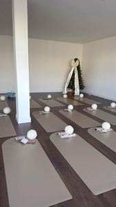 FUXI alta calidad gimnasio en casa Fitness Set logotipo personalizado al por mayor Yoga Pilates accesorios incluyendo esterilla de Yoga pesas de silicona - Product Image 3