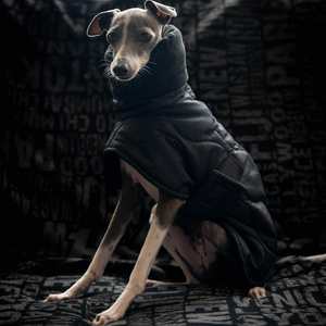 Nuevo <span class=keywords><strong>Abrigo</strong></span> de Invierno para Perros, de Algodón, con Cinturón y Capa, para Whippets, Galgos Italianos y Bellingtons, Cálido y Grueso - Product Image 4