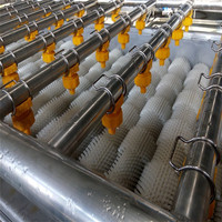 Machine polyvalente de nettoyage de légumes à bulles à haut rendement et laveuse de fruits pour usage industriel