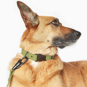 Nuevo estilo personalizado ajustable hebilla de liberación rápida, impermeable de PVC de vinilo collares de perro a granel - Product Image 6