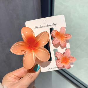 Ensemble <span class=keywords><strong>de</strong></span> pinces à cheveux <span class=keywords><strong>fleur</strong></span> <span class=keywords><strong>d</strong></span>'oeuf violet Bauhinia pince requin pour tête arrière accessoires pour cheveux <span class=keywords><strong>de</strong></span> fille en plastique résine - Product Image 4