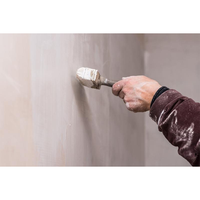 Jady – peinture inodore et résistante aux alcalis, meilleure peinture pour le mur et le plafond de ciment de la maison