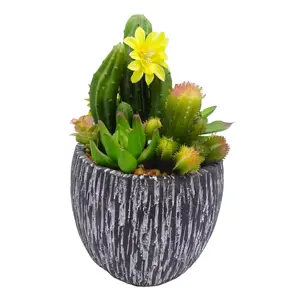 Sukkulente Kaktus pflanzen Verschiedene künstliche lebende Sukkulenten mit Pflanz gefäßen Home Indoor Office Dekor