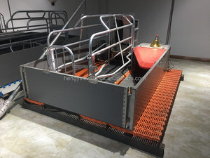 Cage de mise bas pour porcs, plusieurs types au choix, tailles personnalisées selon les besoins, enclos de mise bas pour porcs - Product Image 4