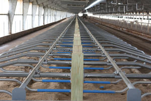 Establo para Ganado, Uso en Granjas, Establos Individuales para Vacas, Cubículos para Ganado - Product Image 2