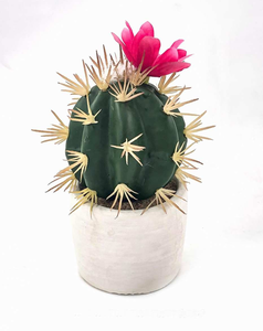 Decoración de mesa para el hogar y la Oficina, Mini bonsái Artificial verde, maceta pequeña, plantas de Cactus suculentas falsas - Product Image 4