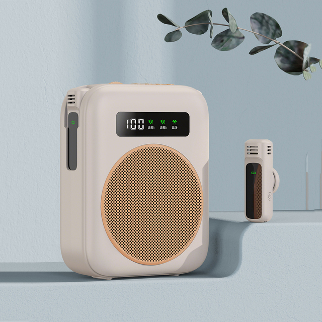M10 Wireless Type C XLR Portable Mini Personal Rechargeable Loudspeaker Voice Amplifier with Conference Microphone