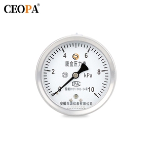CEOPA Stainless Steel Capsule Pressure <strong>Gauge</strong> with <strong>Level</strong> 2.5 Accuracy and -100-100KPa Range - Product Image 2