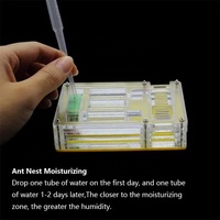 Tour de fourmis professionnelle personnalisée pour la petite observation biologique habitat éducatif nid en plastique acrylique boîte fourmis de ferme portable