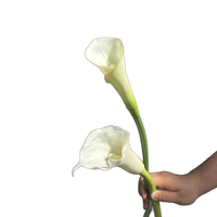 Bunga Calla Lily Buatan PU Real Touch H810, Tangkai Panjang, untuk Buket Pernikahan, Dekorasi Rumah & Acara