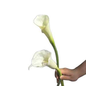 H810 Realistische PU Künstliche <span class=keywords><strong>Calla</strong></span>-Lilien mit Langem Stiel für Hochzeitssträuße, Heim- und Eventdekoration - Product Image 6