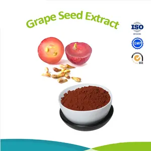 Health Supplement Natural Grape Seed Fruit Extract 95% Proanthocyanidins Powder