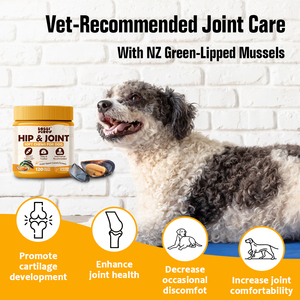 Private Label Pet Health Care <strong>Glucosamine</strong> Pet <strong>Supplements</strong> Hip Joint Support <strong>Dog</strong> Chondroitin Soft Chews <strong>Best</strong> Seller in Amz - Product Image 2