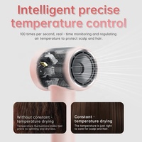 Sèche-cheveux professionnel à moteur sans balais 110000 tr/min, haute vitesse, avec diffuseur pour salon, hôtel, maison