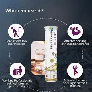 Ausreson Oem Shilajit Harstabletten Pillen Verhoogt Energiesupplement Pure Himalayan Shilajit Bruistablet - Product Image 2