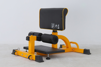 Sissy Squat Machine et Preacher Curl Crunch Rack-Banc accroupi pliable pour la maison FITNESS Gym