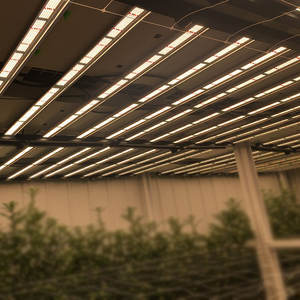 Новейшие технологии, инновации, 1000 Вт HPS, сменные полноцикльные светодиодные лампы для выращивания растений в теплицах и садоводстве - Product Image 6