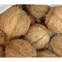 100% natuurlijke verse half-ontdikte gedroogde kokosnoot, dik, sappig, zoet, 0,5-0,8 subtropisch fruit, schaal verwijderd, hoge kwaliteit