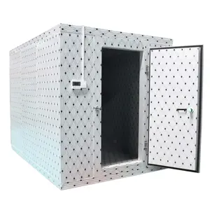 Mobile cold store 5000t tomato cold storage room cold room negative cold room potato cold room