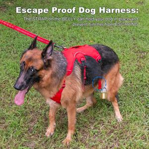 <span class=keywords><strong>COCO</strong></span> <span class=keywords><strong>BUDDY</strong></span> เสื้อกั๊กควบคุมสุนัขป้องกันการหนีสะท้อนแสงปรับได้ไม่มีการดึงตาข่ายนุ่มบุนวมทั้งตัวเครื่องควบคุมสัตว์เลี้ยงพร้อมที่จับยก - Product Image 2