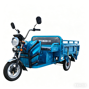 Venta de Fábrica, Entrega Rápida, Triciclo de Carrocería Abierta con Motor de 60V 650w, Capacidad de Carga de 500kg, 35km/h, Ideal para Huertos - Product Image 1