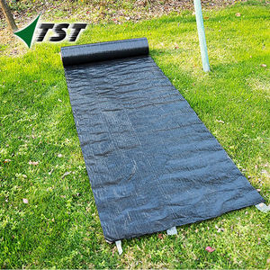 ROLLO DE <span class=keywords><strong>MALLA</strong></span> ANTIMALAS MALAS O <span class=keywords><strong>MALLA</strong></span> ANTIMALAS - Product Image 4