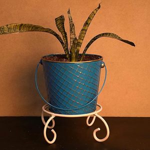 Macetas de metal estilo cubo para jardín, hogar, planta decorativa en precio al por mayor - Product Image 4