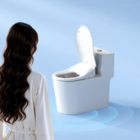 WC intelligent chauffant antibactérien avec aromathérapie, désodorisation, lavage féminin, double buse, bidet électrique, télécommande en plastique