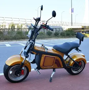 Armazém europeu, estoque 1500w scooter elétrico cidade scooter, pneu gordo adulto seev eec coc scooter elétrico cityscooter