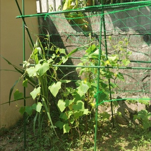 Tuteurs de soutien pour plantes grimpantes, piquets pour poivrons, aubergines et <span class=keywords><strong>haricots</strong></span> <span class=keywords><strong>verts</strong></span>, deux options de longueur, treillis de jardin pour plantes grimpantes - Product Image 3