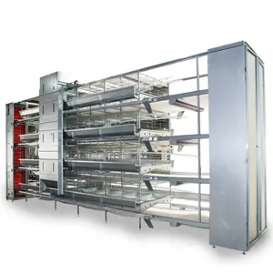 Supply Automatic Poultry equipment manufacturers manufacture automatic chicken layer cage