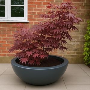 Maceta de cerámica con curvas para balcón e interior, maceta de anillo gordito personalizable para cactus suculentos - Product Image 5