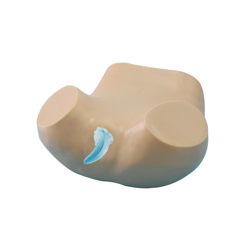 Высокое качество сестринского подготовки влагалища и матки модели BIX-FL