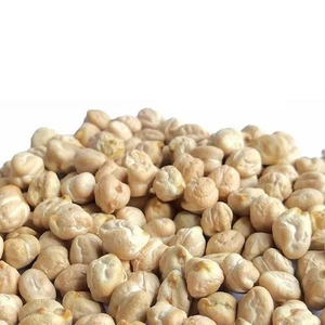 Garbanzos Blancos Frescos Kabuli Chana de Alta Calidad, Legumbres Enteras Naturales para Procesamiento de Alimentos, Proveedor de Exportación a Granel - Product Image 1