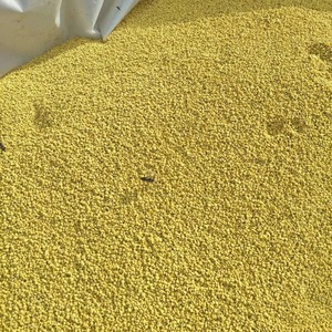 Pólen de abeja de colza de alta calidad, suministrado por Qinghai, China - Product Image 6