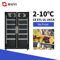 Réfrigérateur vertical commercial à porte vitrée pour boissons, bières et vins, avec refroidissement par air, sans givre, pour supermarché