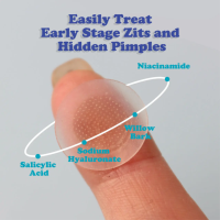 Patch pour bouton d'acné Microdart acide avec huile d'arbre à thé à l'acide salicylique Anti-acné Anti-inflammatoire et calmant la peau