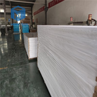 Panneau en mousse PVC rigide de haute résistance, grand format 2050*3050mm, couleur blanche, écologique, épaisseur 1-30mm, avec service de découpe