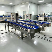 Multifunctionele groente- en weegsorteermachine, kleine visweegsorteermachine, industriële fruitsorteermachine te koop