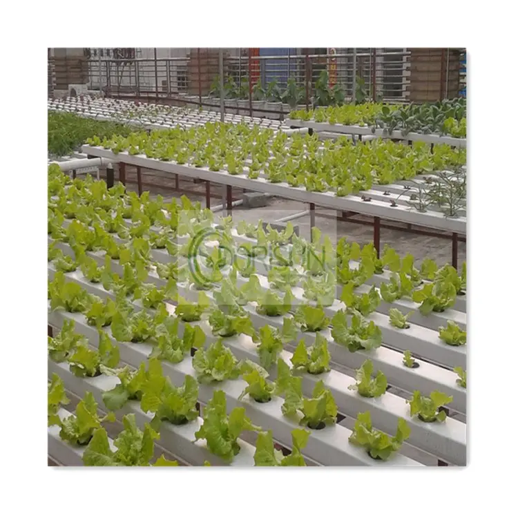 Hot Low Cost Custom Size Landwirtschaft Gemüse Auto Aeroponics Hydro po nische Anbaus ysteme zum Pflanzen