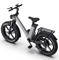 Vélo électrique pliable à gros pneus avec cadre en alliage d'aluminium gris clair, moteur à moyeu arrière, batterie au lithium 48V pour utilisation hors route