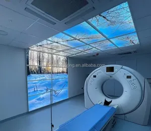 UV印刷ブルースカイパネルLED埋め込み式60x60 30x120 2x4 620x620 15W 30W Tuya調光可能スマートCCTLEDスカイパネルライト - Product Image 6